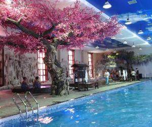 Northeast Swimming Pool, Jilin, China, capacity of 51000 Litres.