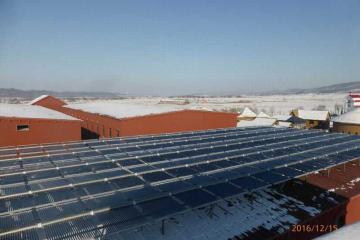 Northeast Swimming Pool